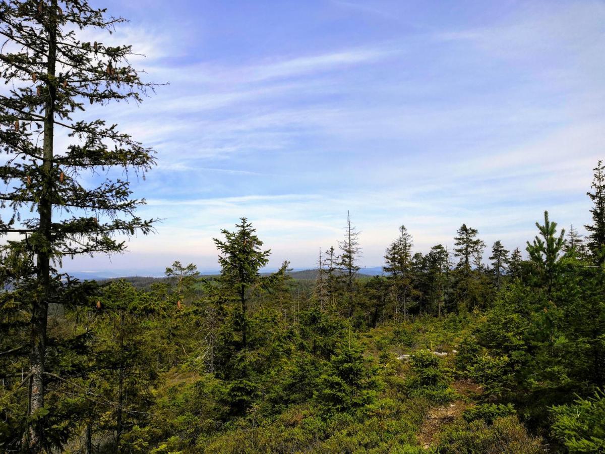 Vila AA Chalupa Šumava Bosice Exteriér fotografie